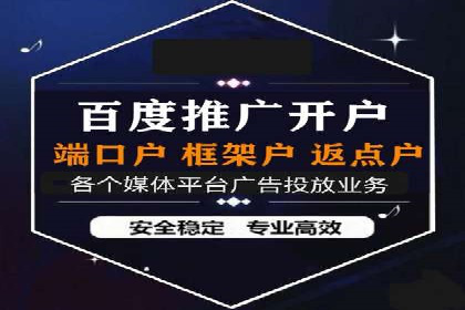 案例分析：竞价推广实战中的困境与突破